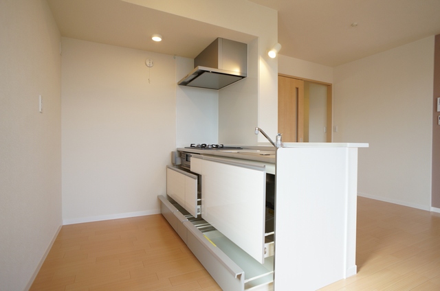 ＳｈａＭａｉｓｏｎ　Ｓａｗａ 201号-4