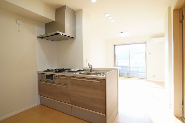 ブリリアントペガサス 301号-4