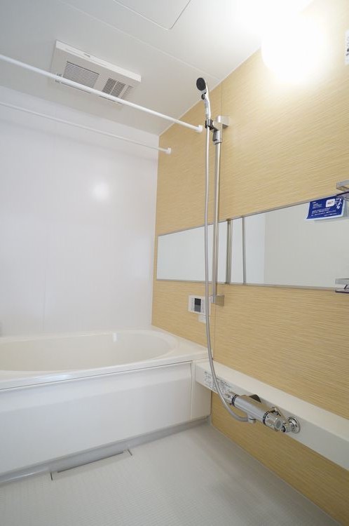 ブリリアントペガサス 301号-10