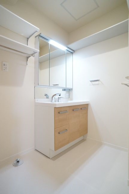 Ｃｈｉｂａｌｙ　Ｔｏｄｏｒｏｋｉ 101号-9