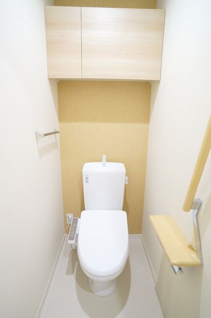 Ｃｈｉｂａｌｙ　Ｔｏｄｏｒｏｋｉ 101号-11