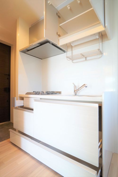 カーサレジオ 401号-5