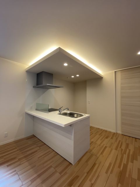 Serdina 301号-6