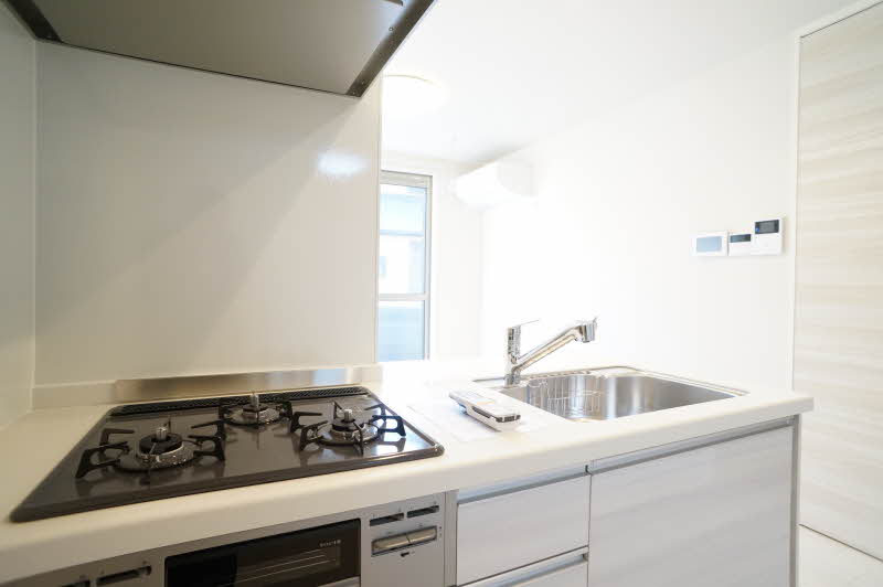 フローレスノセ 102号-5