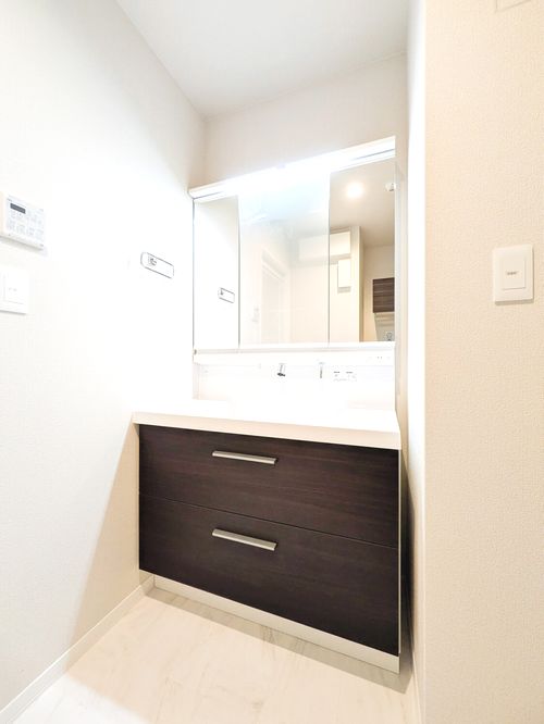 ブリーゼ アイビー 305号-9