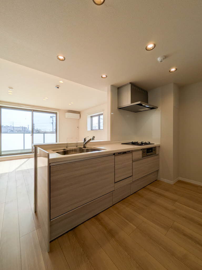 レザレⅡ 205号-4