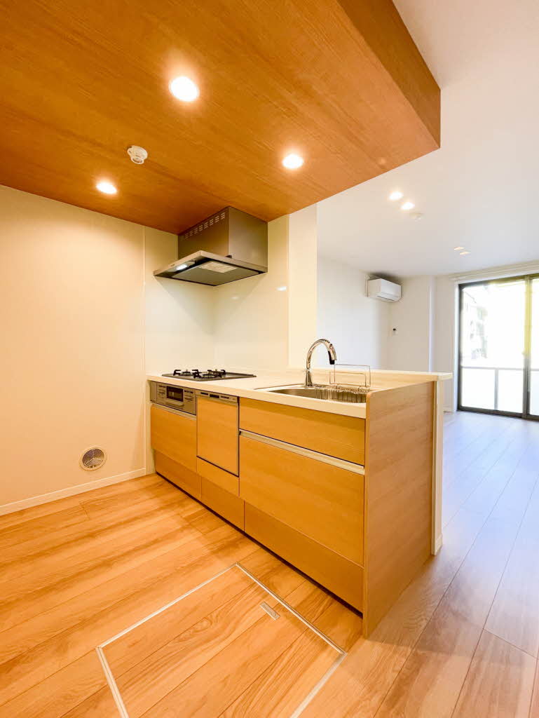 Ｎ　ｍａｉｓｏｎ　Ⅵ 101号-4