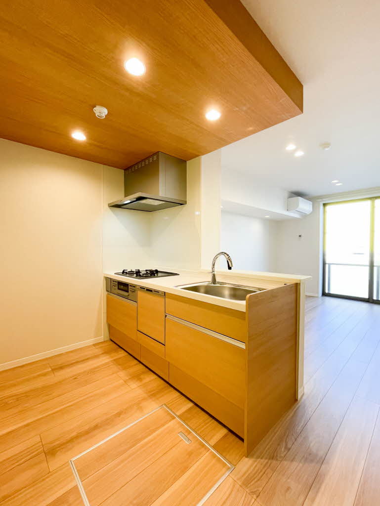 Ｎ　ｍａｉｓｏｎ　Ⅵ 102号-3