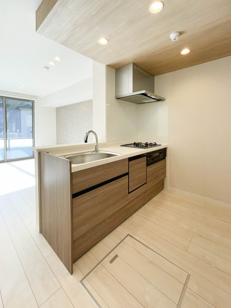 Ｎ　ｍａｉｓｏｎ　Ⅵ 105号-3