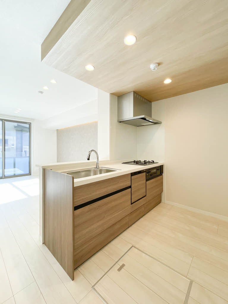 Ｎ　ｍａｉｓｏｎ　Ⅵ 106号-3