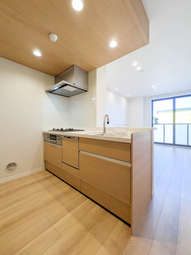 Ｎ　ｍａｉｓｏｎ　Ⅵ 201号-3