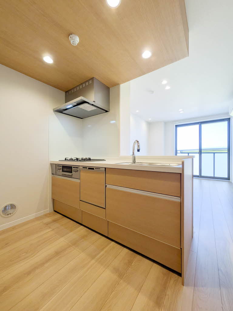 Ｎ　ｍａｉｓｏｎ　Ⅵ 301号-3