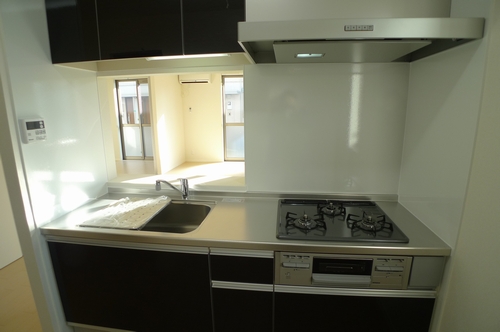 ロイヤルガーデンⅧ 102号-5