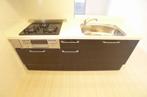 Ｎｅｗ　ＲｉｃｈⅡ 301号-4