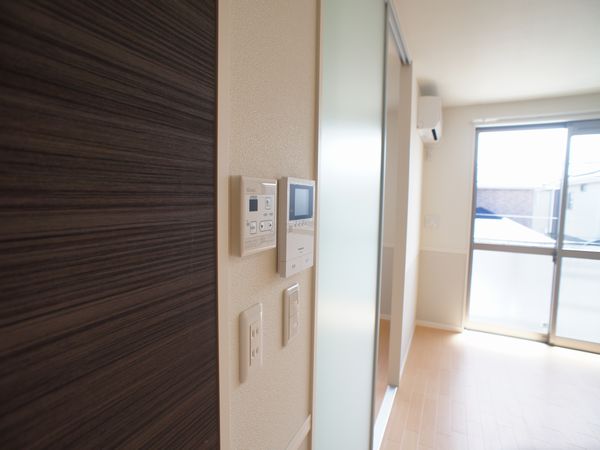 ピエール・ドゥ・ロンサールⅡ 203号-9