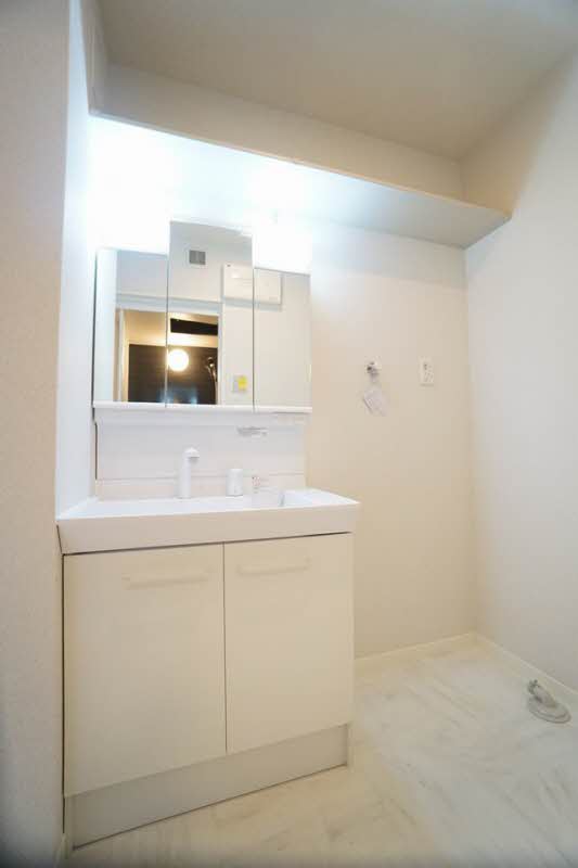 ル・リオン 206号-7