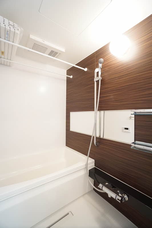 ラピス　アウラ 107号-9