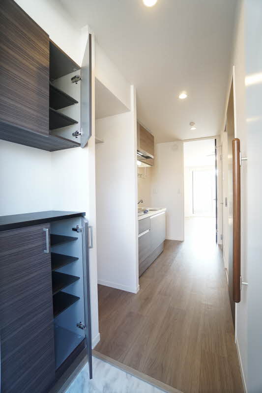 ラピス アウラ 205号-11