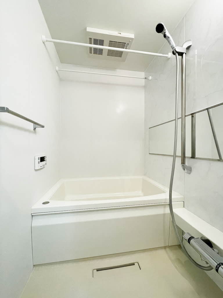 ラピス アウラ 301号-9