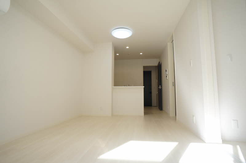 ラリュールⅠ 102号-3