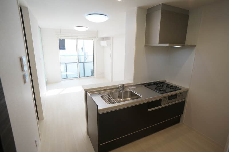 ラリュールⅠ 102号-5