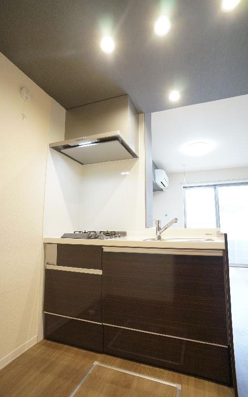 シリウスⅡ 101号-5