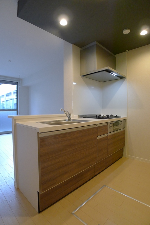 Ａｍｂａｓｓａｄｏｒ　Ｒｅｓｉｄｅｎｃｅ 102号-8