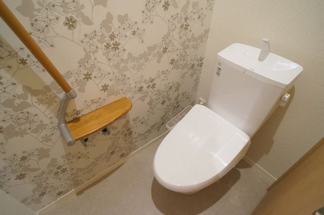 ラフィーネ柏中央 203号-3