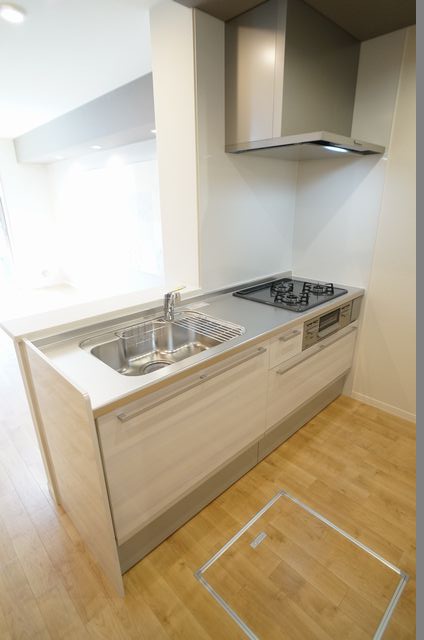 ラフィーネ柏中央 203号-5