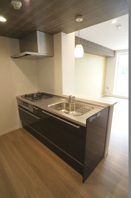 ラ グリシーヌ 307号-4