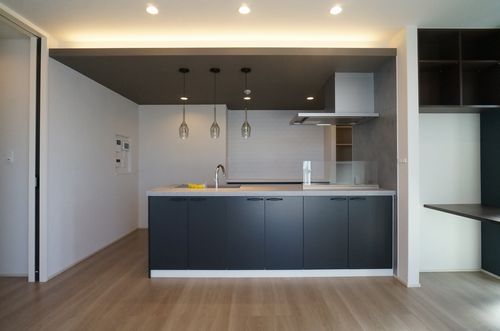 J.D.Luminearth 301号-3