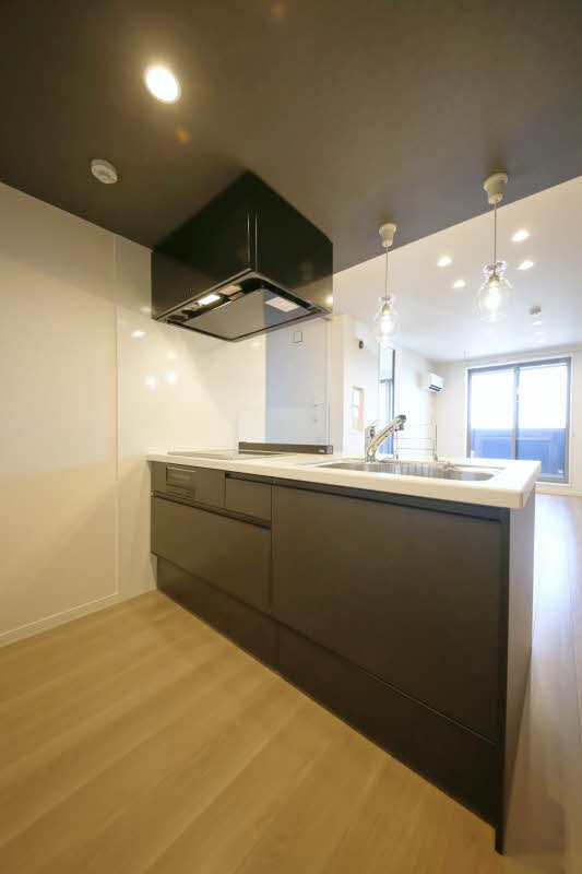 シャーメゾンサウス 302号-3