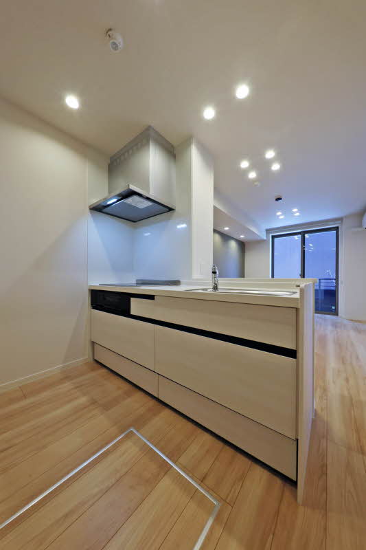 ヴァンヴェールⅠ 103号-4