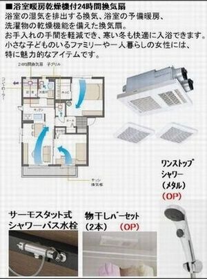 その他画像9