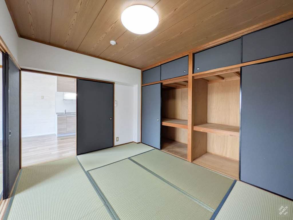 アムール 203号-6