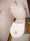 その他画像12