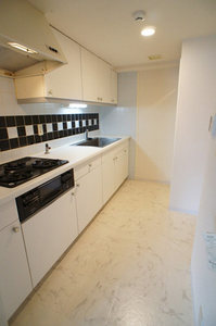 グランドメゾン池袋一番館 513号-10