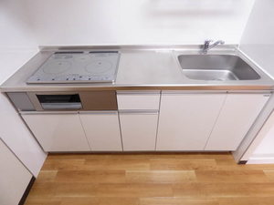グリーンフラッツ小金井 303号-3
