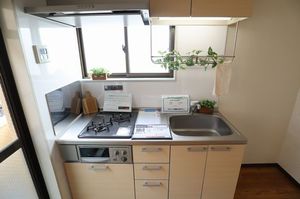 ジョイフル横山 403号-2