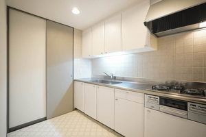 グランドメゾン多摩川 206号-2