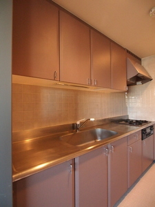 グランドメゾン多摩川 407号-4