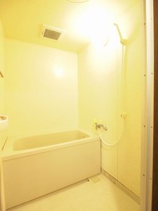 ヴェル・ドミール中幸 213号-9