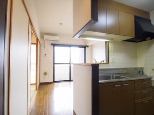 ヴェル・ドミール中幸 317号-4