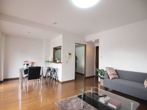 メイプルリーフ中溝 703号-3