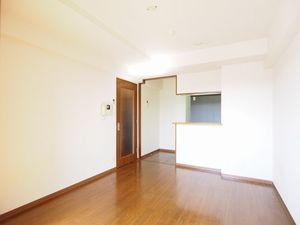 ジャンダルム 410号-3