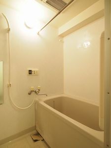 ジャンダルム 410号-8