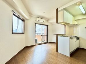 ジャンダルム 701号-2