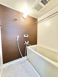 ジャンダルム 701号-5