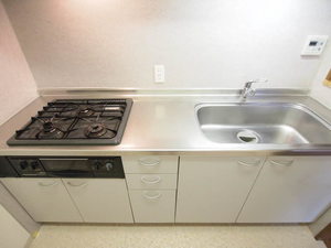 アーバン本駒込 303号-7