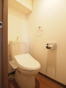 アーバン本駒込 303号-11